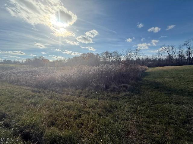 Land for sale in Homeworth, Ohio