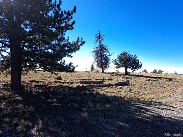 Land for sale in Hartsel, Park County