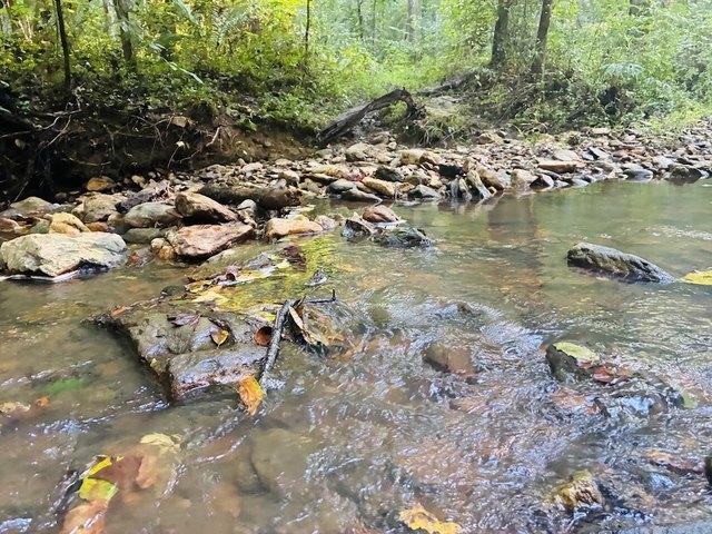 Land for sale in Haralson, Georgia