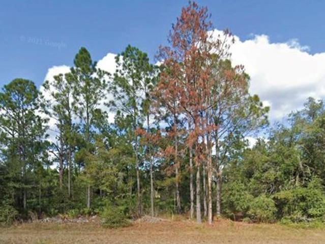 Land for sale in Indian Lake Estates, Florida