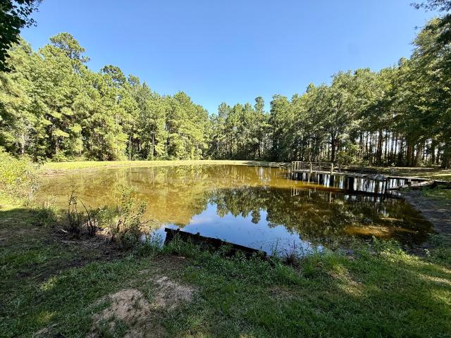 House for sale in Latexo, Texas