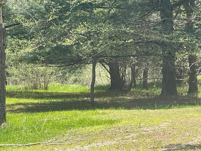 Land for sale in Gladwin