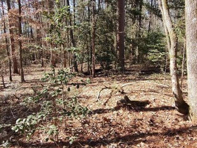 Land for sale in Ark