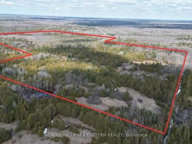 Land for sale in Douro-dummer, Ontario