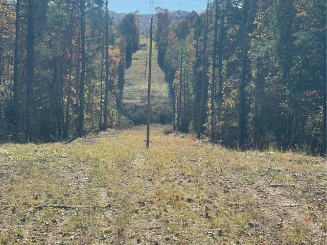 Land for sale in Ark