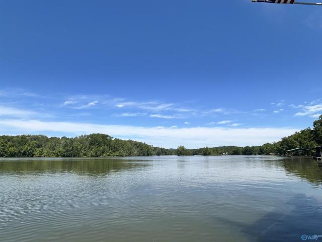 House for sale in Cedar Bluff, Alabama