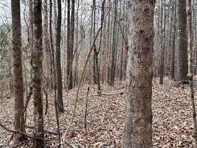 Land for sale in Six Mile, Pickens County