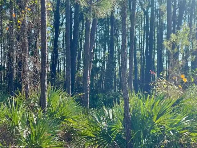 House for rent in Dauphin Island, Alabama