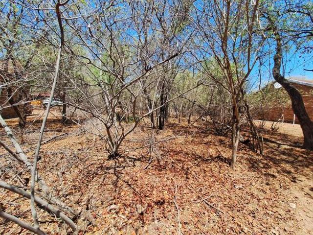 Land for sale in Limpopo