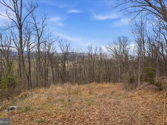 Land for sale in Virginia