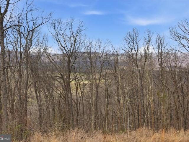 Land for sale in Virginia