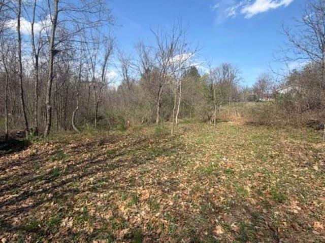 Land for sale in Hyde Park, New York