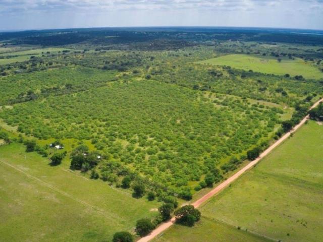 Farm for sale in Mason, Texas