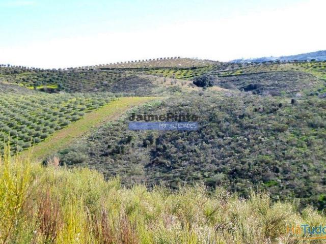 Terreno venda em Alfândega Da Fé, Bragança