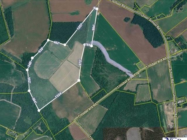 Land for sale in Coward, South Carolina