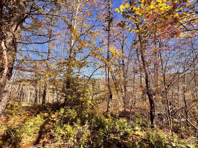 Land for sale in Austerlitz, New York