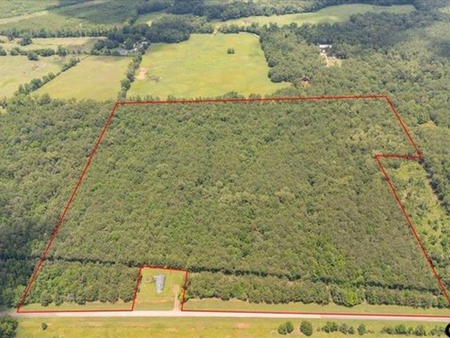 Land for sale in Mount Enterprise, Texas