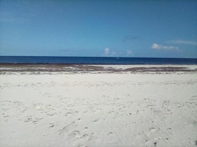Land for sale in Mandera