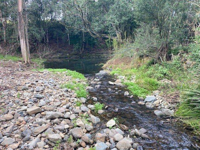 Cottage for sale in Barrington, New South Wales