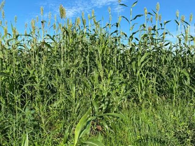 Land for sale in Manyatta, Embu