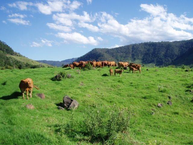 Cottage for sale in Illinbah, Queensland