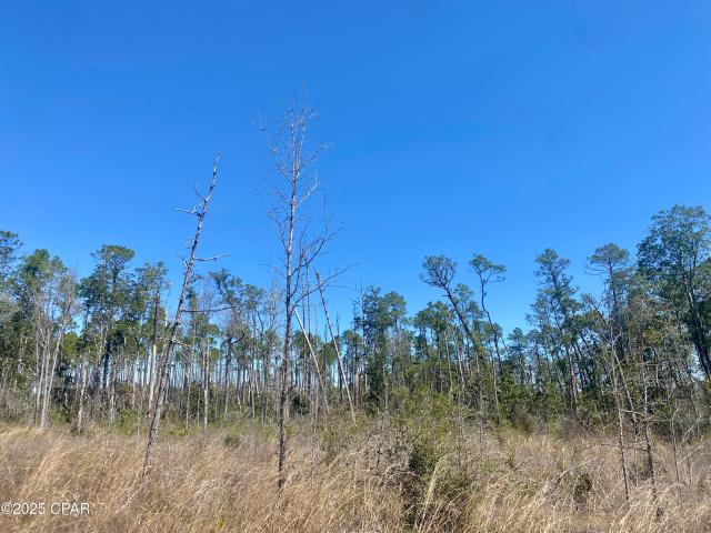 House for sale in Bristol, Florida