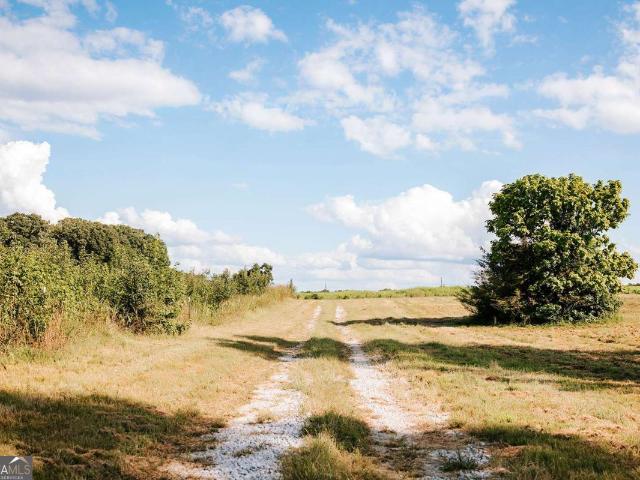 Land for sale in Georgia