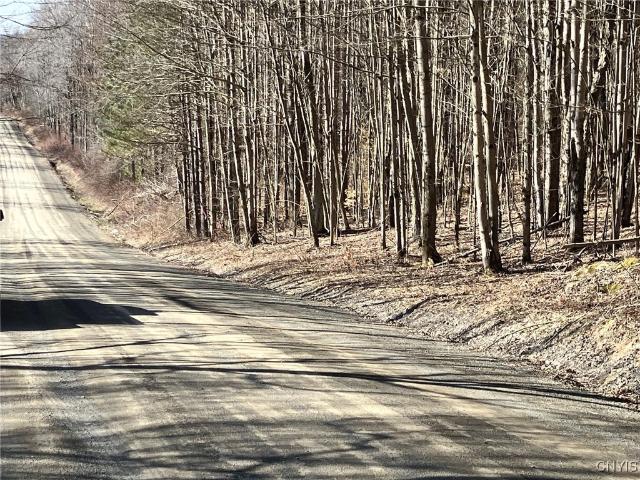 Land for sale in Chenango Bridge, New York