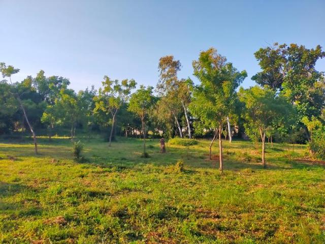 Land for sale in Mtwapa, Shimo la Tewa