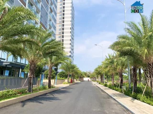 Căn hộ cho thuê tại Thủ Đức, Hồ Chí Minh