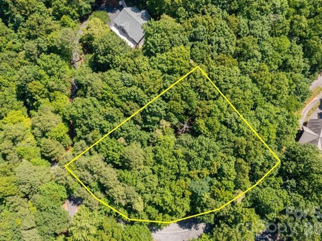 Land for sale in Horse Shoe, North Carolina