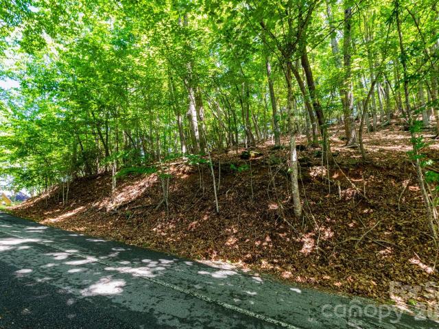 Land for sale in Horse Shoe, North Carolina