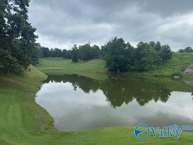 Condo for sale in Guntersville