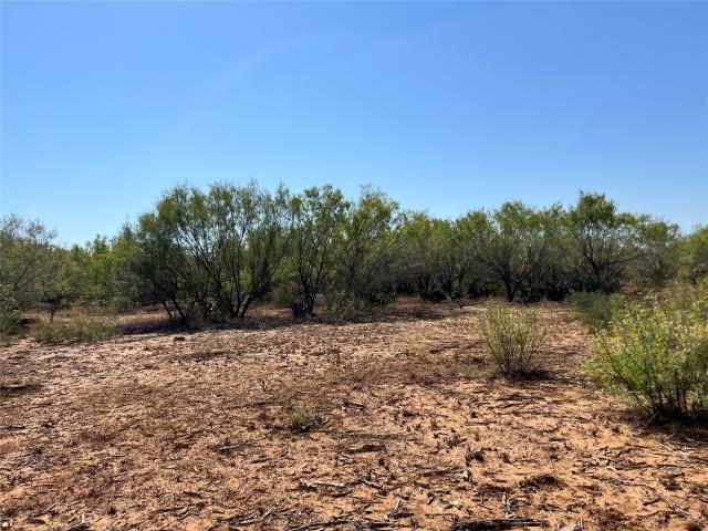 Land for sale in Jourdanton, Texas