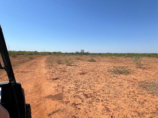 Land for sale in Jourdanton, Texas