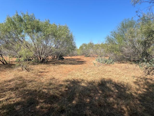 Land for sale in Jourdanton, Texas