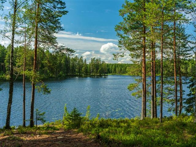 Land for sale in Titus, Texas