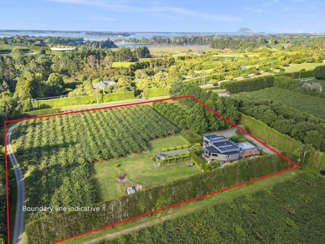 Property for sale in Bay Of Plenty