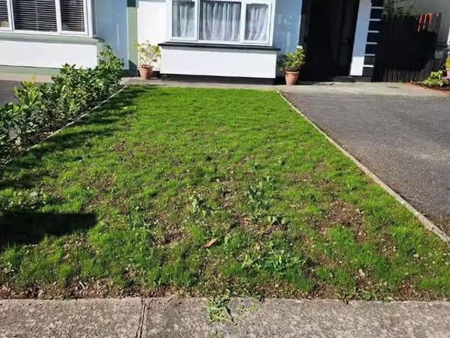 House to rent
