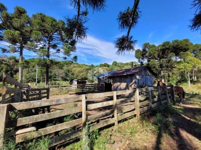 Sítio e chácara venda em Região Geográfica Imediata de Caxias do Sul, São Francisco de Paula