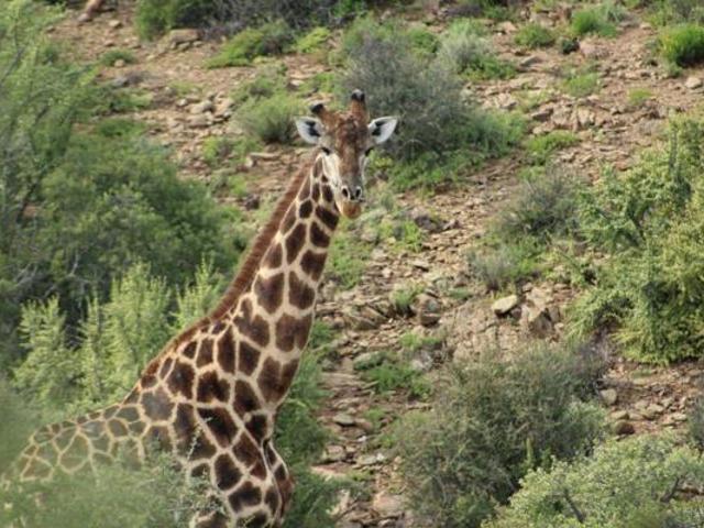 Land for sale in Groot Brak Rivier, Western Cape