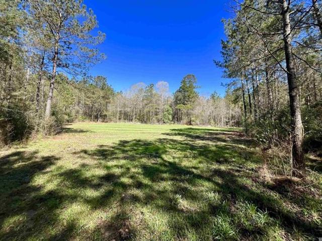 Land for sale in Saint Helena, Louisiana