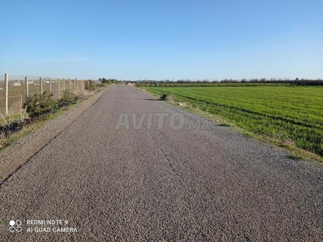 Propriété vente à Ain Marchouch