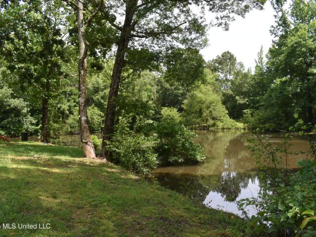 Land for sale in Byhalia, Mississippi