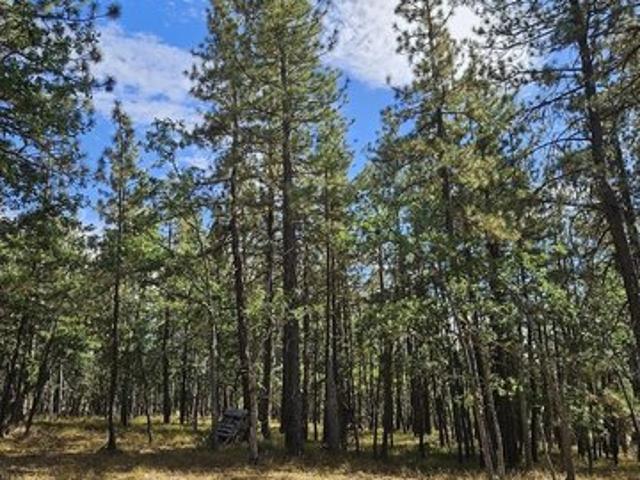 Land for sale in Goldendale, Washington