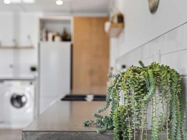 Townhouse for sale in Rapuwai, Northland