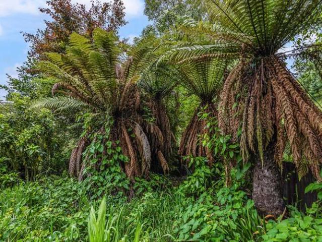 House for sale in Rangitikei District