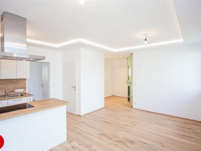 Wohnung mieten in Schwechat, Niederösterreich