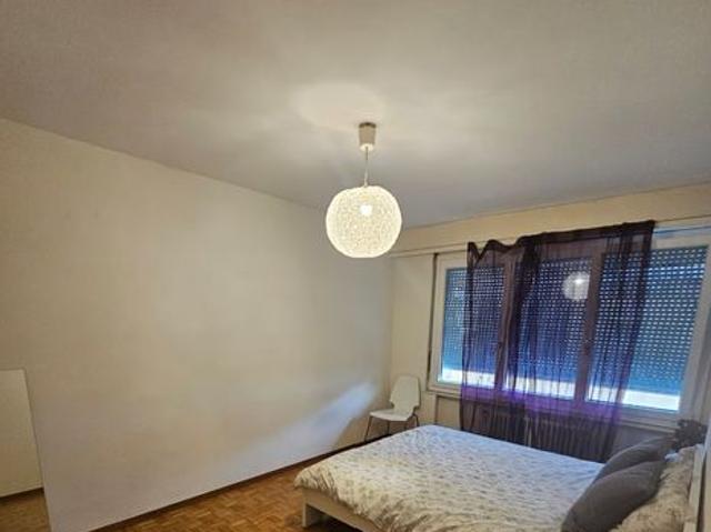 Studio mieten in Meyrin