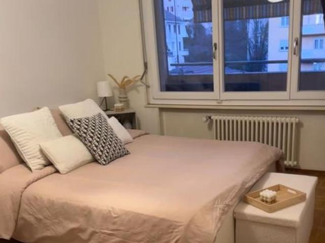 Studio mieten in Meyrin